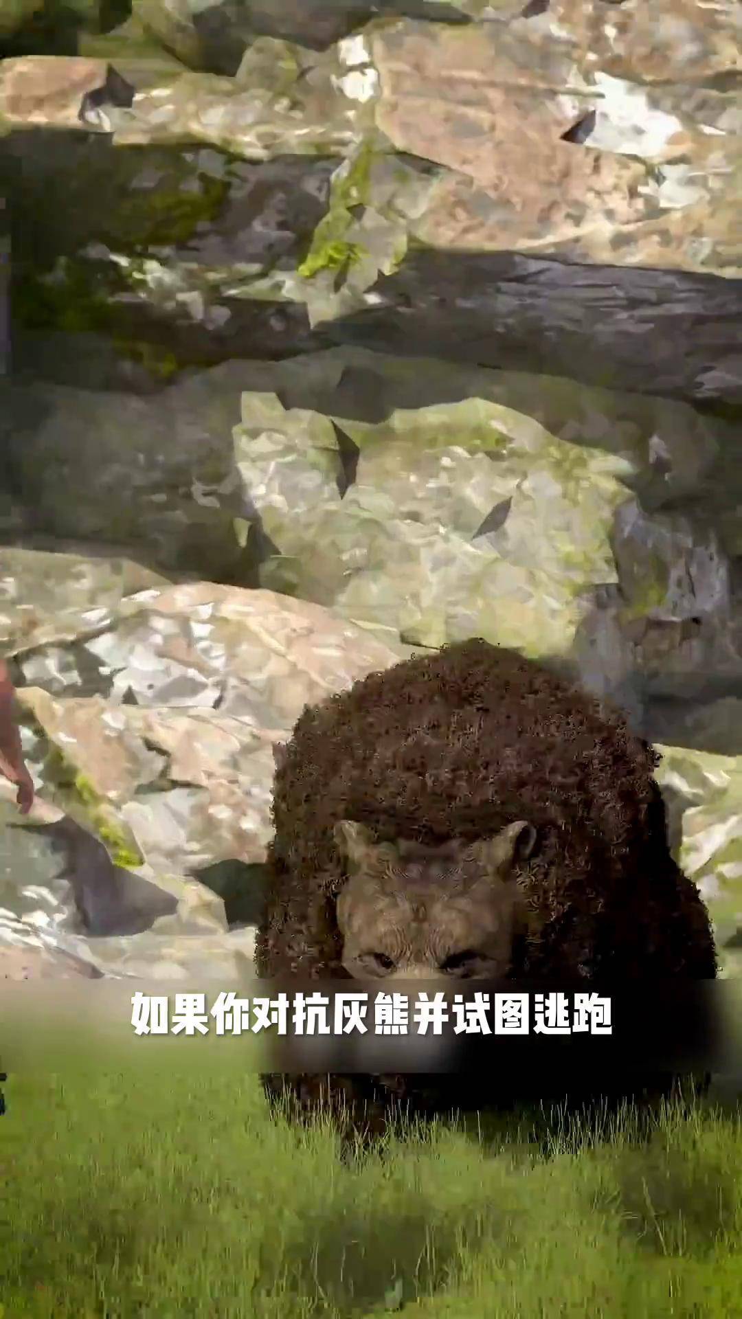 灰熊遭遇惨败，康利孤身一人难挽败势的简单介绍