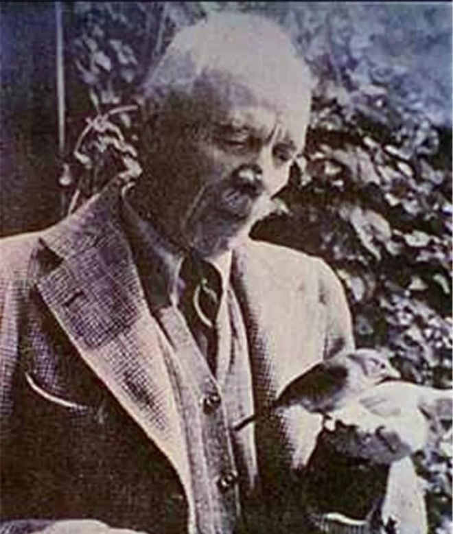 星空体育官方-波尔多老将迎来里程碑，铸就传奇的简单介绍